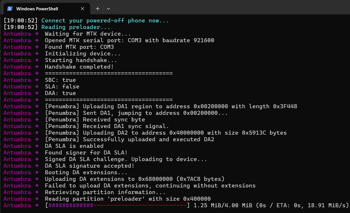tanuki running the unlock process